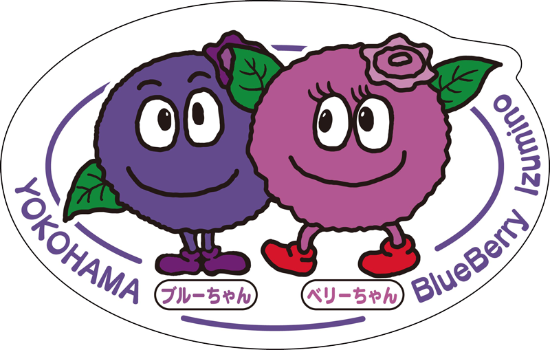 横浜ブルーベリーいずみ野